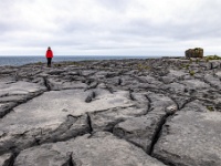 The Burren